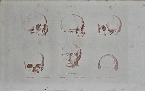 Gravure xixe phrenologie - gravure,