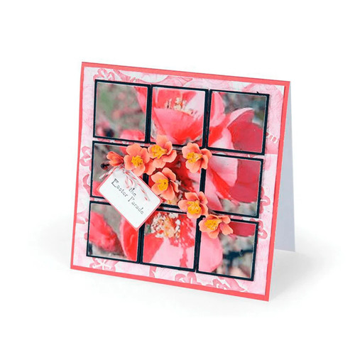 Fustelles big shot sizzix - fustelles,