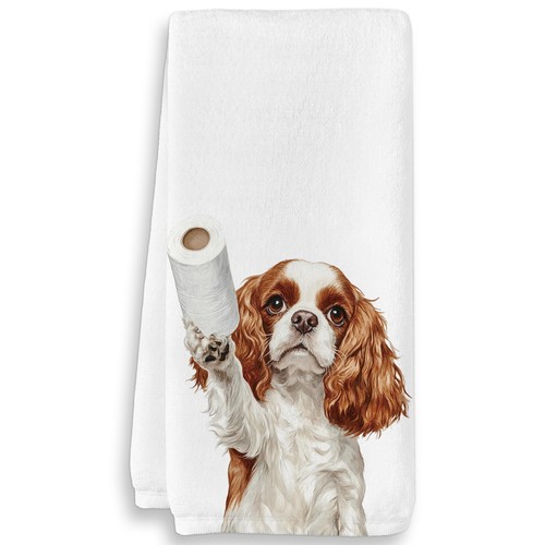 Cavalier king charles - cavalier, spaniel