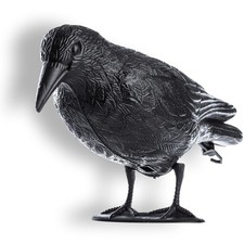 Corbeau Noir en Plastique Épouvantail Efficace pour Repousser Les Oiseaux et ...
