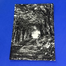 BADIA PRATAGLIA AREZZO STAZ. CLIM POSTCARD TRAVELLED