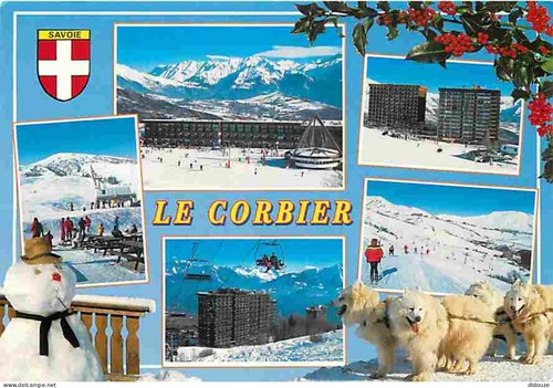 Carte postale animaux - postale,