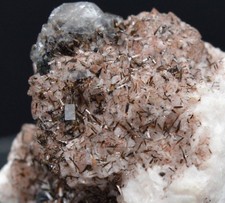Rare Endlichite Calcite sur