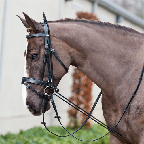 Pour chevaux étireur cou - pour, chevaux,