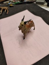 Chèvre de montagne  , plomb