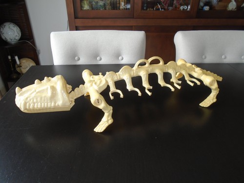 Battle bones dinosaure - battle,