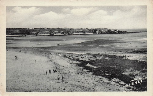 Querry pigeon plage - pigeon,