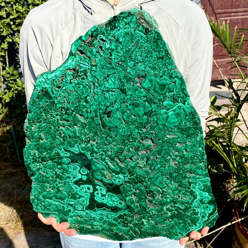 15lb large natural green - large,