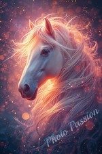 Photo A4 Cheval portrait