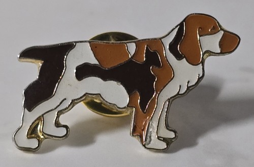 Pin chien epagneul - -,