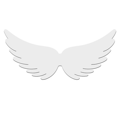 Ensemble ailes d ange - de, 10