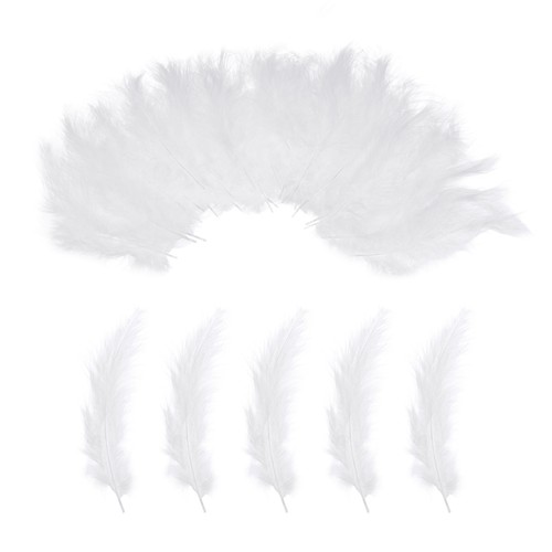 100 plumes dinde marabout - plumes,