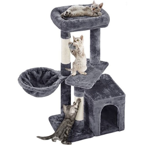 Arbre chat 592957 - chat,