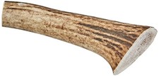 Bois de cerf - L - 76-150 g -