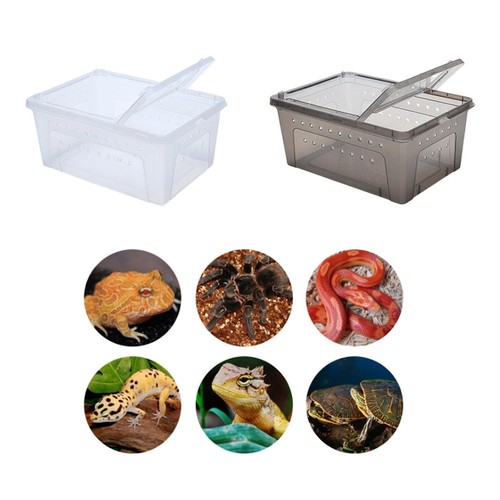 Aquarium élevage pour - aquarium,