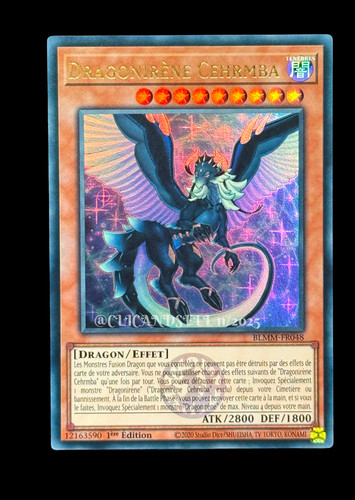 Carte blmm fr048 - carte, blmm-fr048