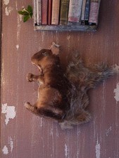 Jouet vintage �cureuil des années 50 en bon état