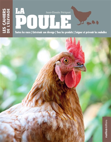 Poule toutes les - les, races