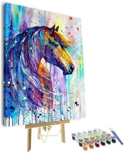 Tableau cheval cadre coloré - tableau,