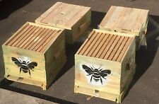 Ruches Dadant 10 cadres