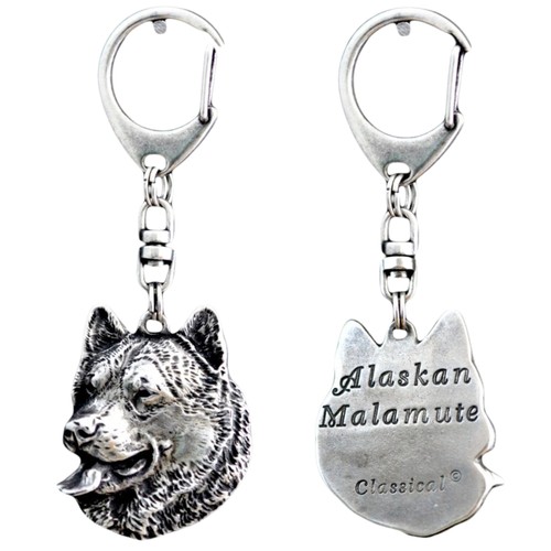 Malamute alaska - malamute, d'alaska