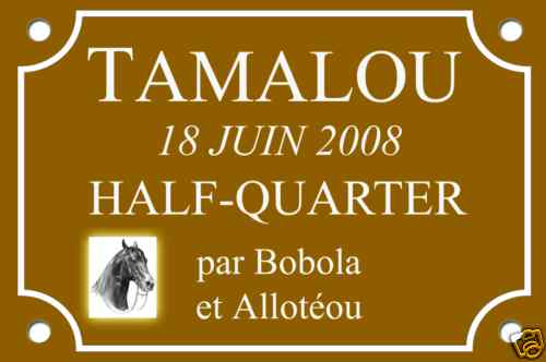 Plaque box identite cheval - identite,