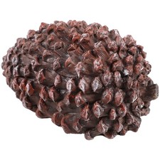  Coffre Extérieur De