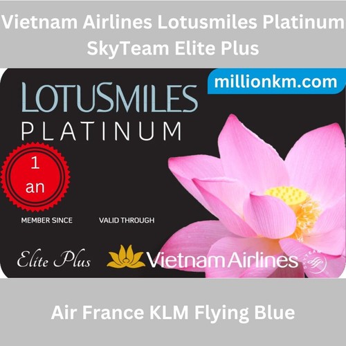 Skyteam elite plus - skyteam, vietnam