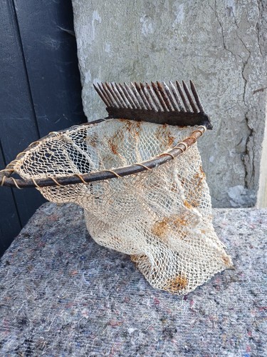 Râteau pêche aux - aux, coquillages
