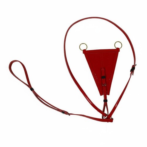 Poitrail cuir verni - en,