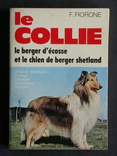 Collie Fiorone - Berger