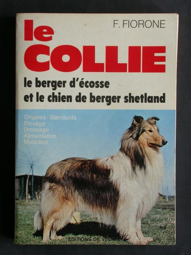 Collie fiorone berger - collie,