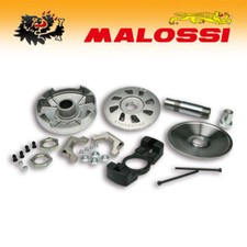 511886 [MALOSSI] Variateur