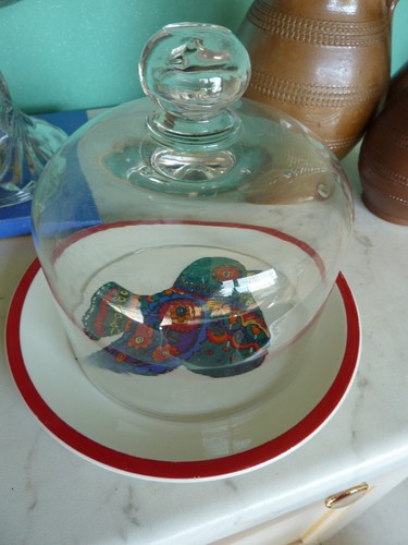 Petite cloche fromage - petite,