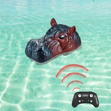 Bateau télécommandé à