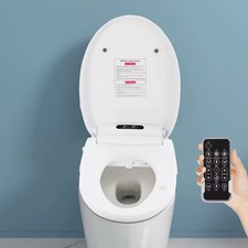 Siege Toilette Japonaise