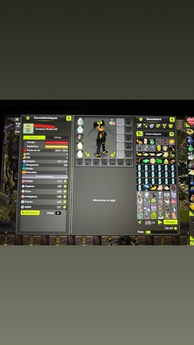 Compte dofus touch - touch, 200