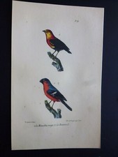 Gravure couleur 19°