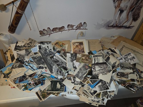 Cartes postale - 12, de