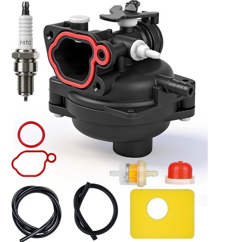 Carburateur pour briggs - carburateur,