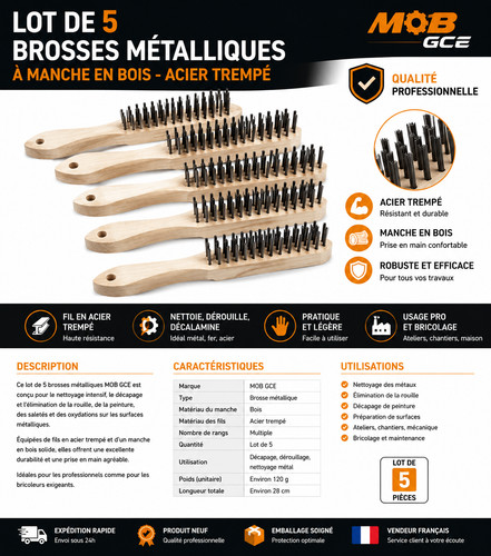 Lot brosses métalliques - brosses,