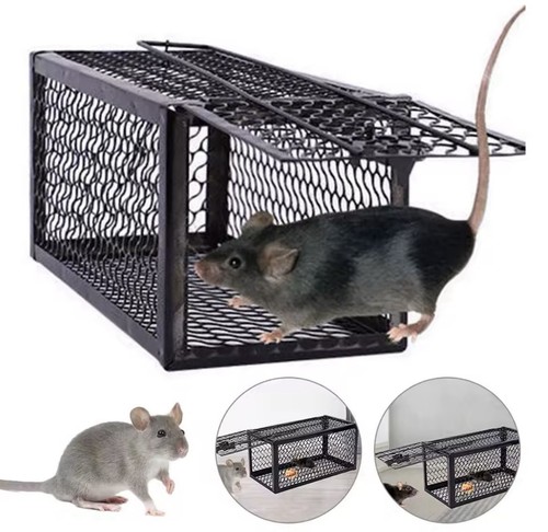 Piège souris cage - souris, métal