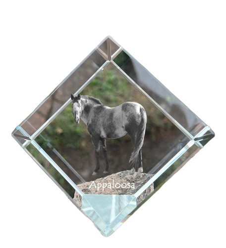 Appaloosa collier en cristal - -,
