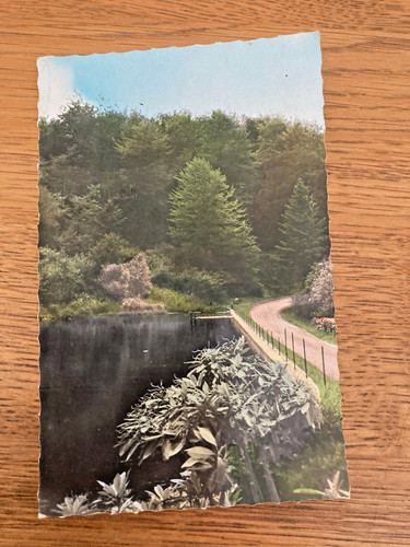 Carte postale 1950 belle - 1950, isle