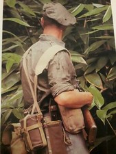 brelage web jungle Anglais /