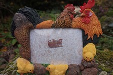 NA0801   PROMO   CADRE  PHOTO    FIGURINE  STATUETTE COQ POULE POUSSIN FERME