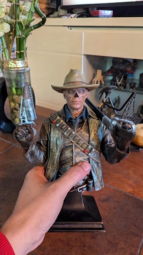 Buste collector - 🤠💀,