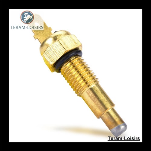 Sonde thermostat radiateur - sonde,