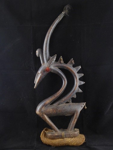 Rare porte arc - rare, porte-arc