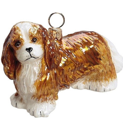 Cavalier king charles spaniel - king,